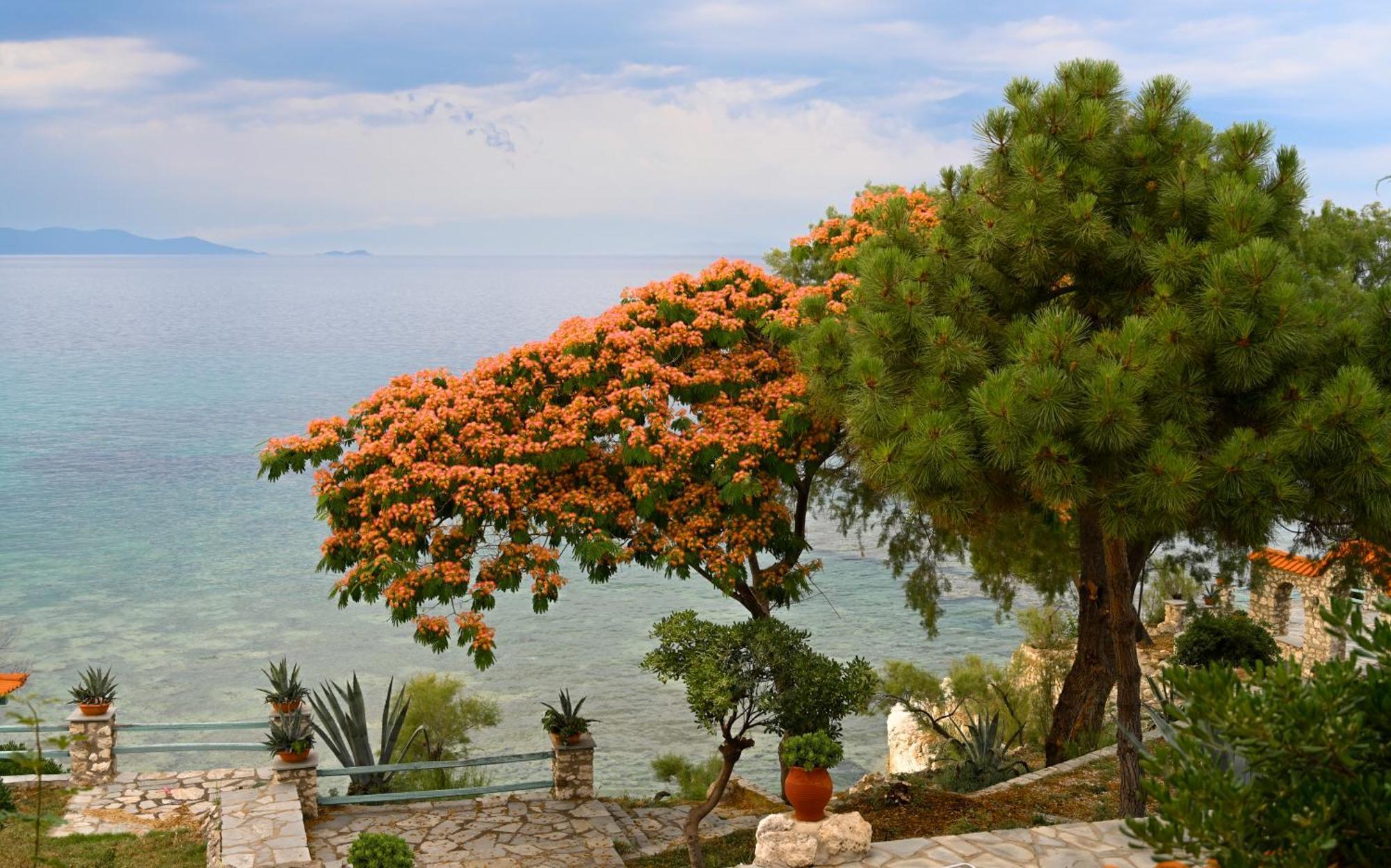 Kiparissi Villa Halkidiki Иерисос Екстериор снимка